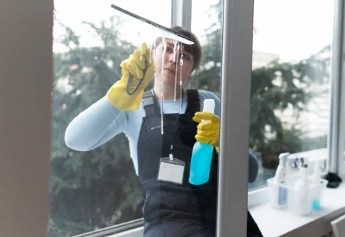 Nettoyage de vitres intérieures et extérieures à Vigoux